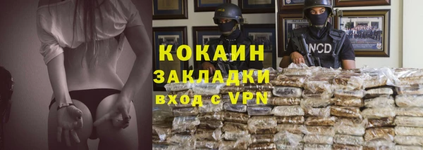 стаф Аркадак