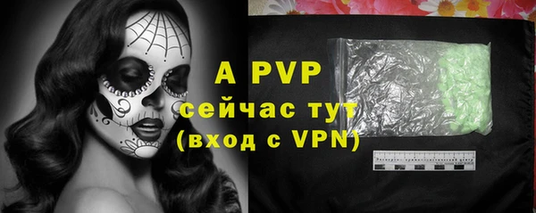 стаф Аркадак