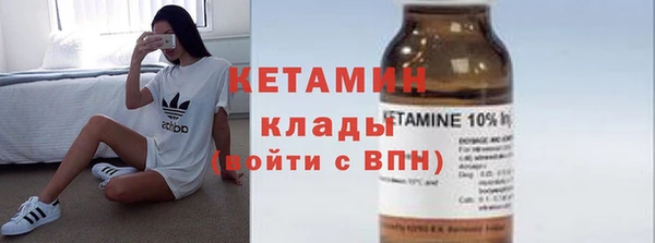 стаф Аркадак