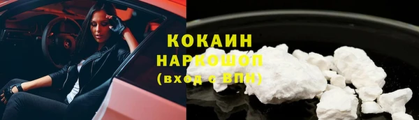 стаф Аркадак
