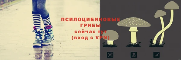 прущие грибы Володарск