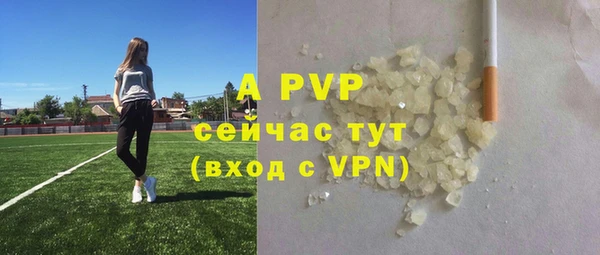 стаф Аркадак