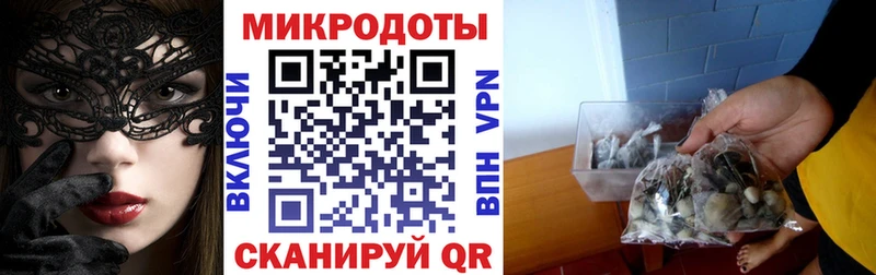 маркетплейс формула  закладка  Строитель  Псилоцибиновые грибы Psilocybine cubensis 